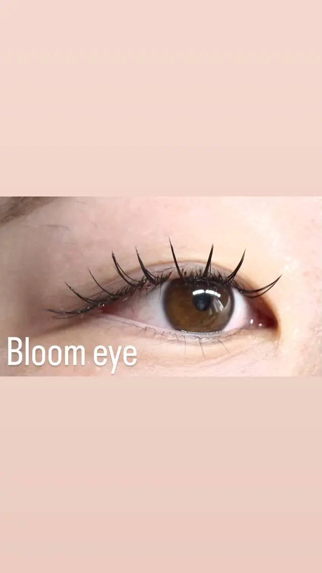 マツエク・マツパ フラットラッシュ Bloom eye 豊中 北緑丘の眉毛・アイブロウイメージ