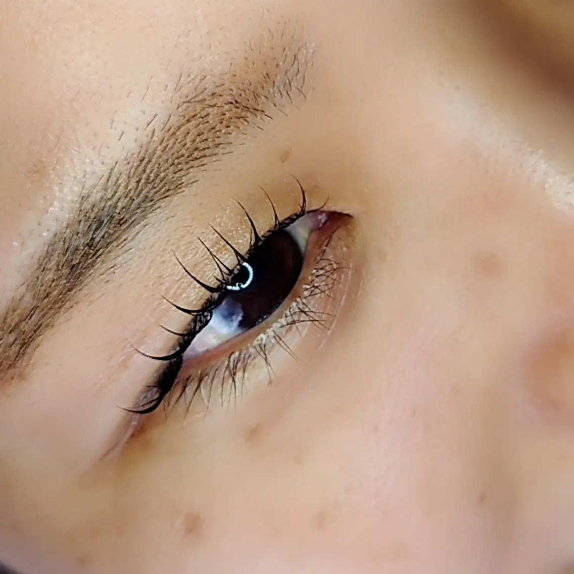 マツエク・マツパ マツパ EYELASH lino　合志市のマツエク・マツパデザイン