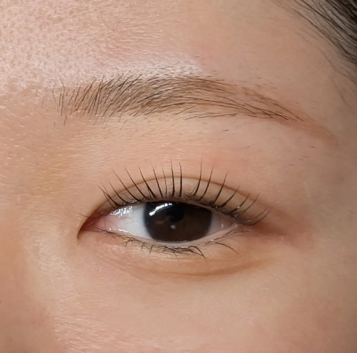 マツエク・マツパ 一重×まつ毛パーマ マツパ Sun Brown Ryu-gaのマツエク・マツパデザイン