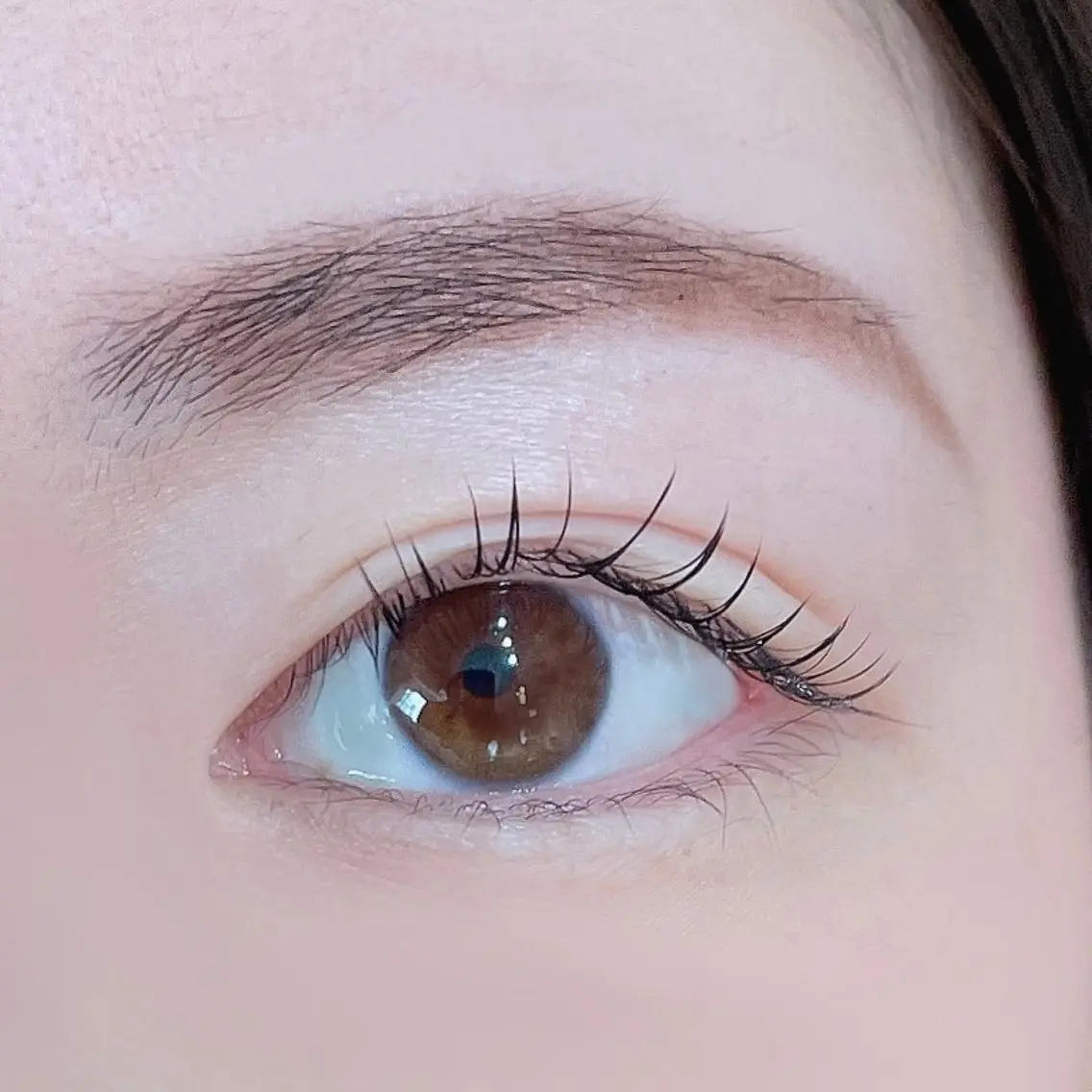 プレミアセーブル日本製 120本の写真