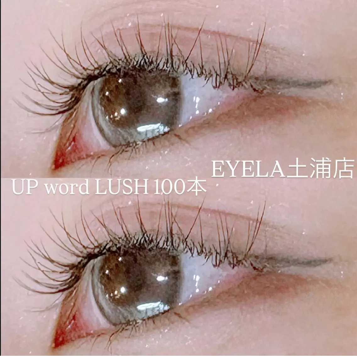 マツエク・マツパ アップワードラッシュ マツエク EYELA土浦店 🦋‎幕内 萌花のマツエク・マツパデザイン