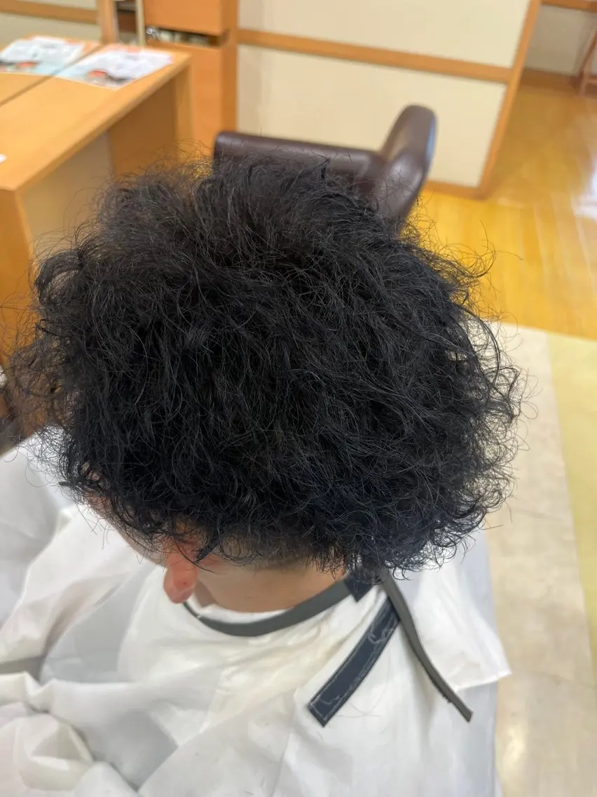 ショート カラー パーマ ヘアアレンジ メンズ メンズ就活ヘア メンズパーマ 黒髪 ブルーカラー ブルーブラック 鈴木 蓮太のヘアスタイル