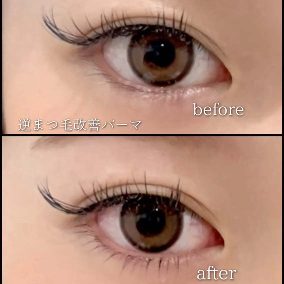 マツエク・マツパ マツパ shall cocotteの眉毛・アイブロウイメージ