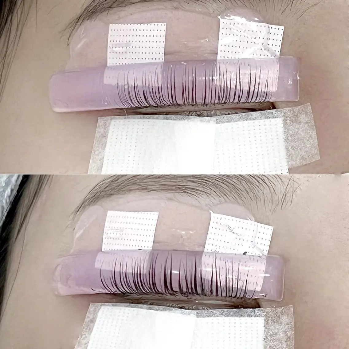 【6月限定価格🕊️】まつ毛パーマ+ブラックティント✨の写真