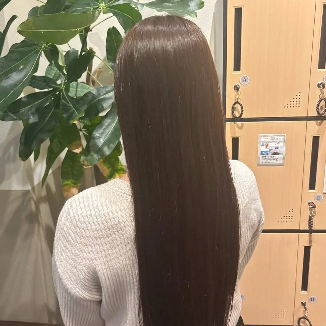 カラー ブラウンカラー 卒業式のヘアスタイル カットモデル🌱/ momoのヘアスタイル