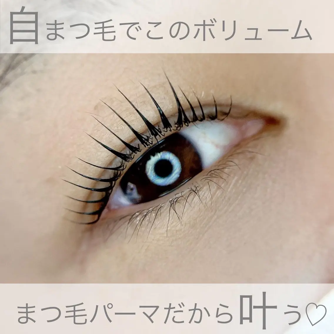 似合わせデザインパーマの写真