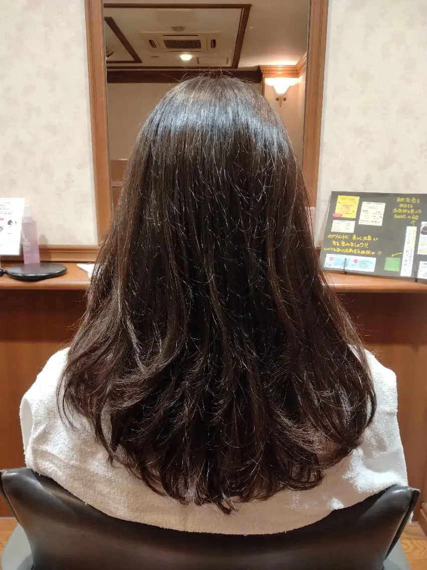 カットモデルの写真