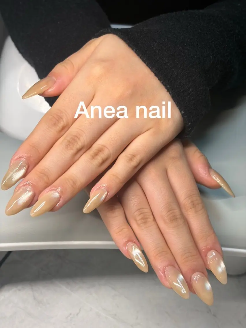 ネイル 長さ出し マグネットネイル ネイルチップ Anea Nailのネイルデザイン