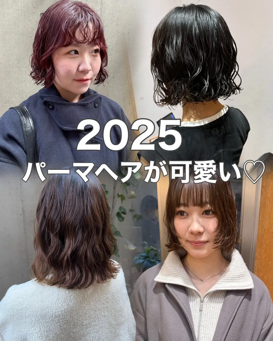 ショート パーマ カット パーマ 大橋 芽衣のヘアスタイル