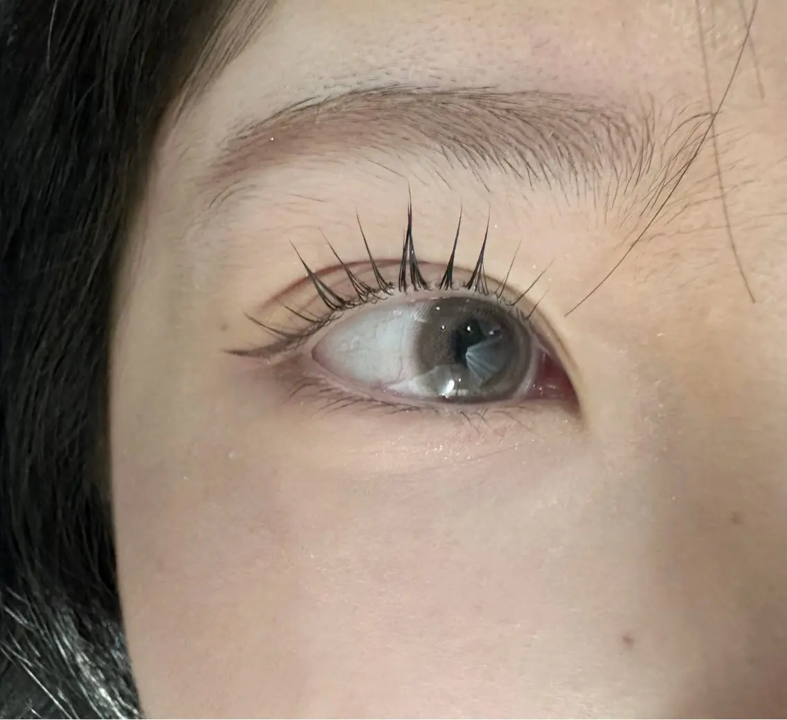 【再来】パリジェンヌ✨束感コーティング🧸の写真