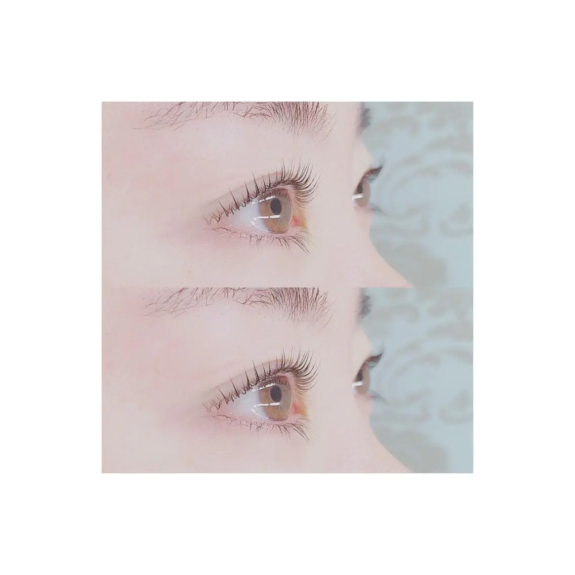 【ご新規様限定🌟】次世代まつげパーマ🌷の写真