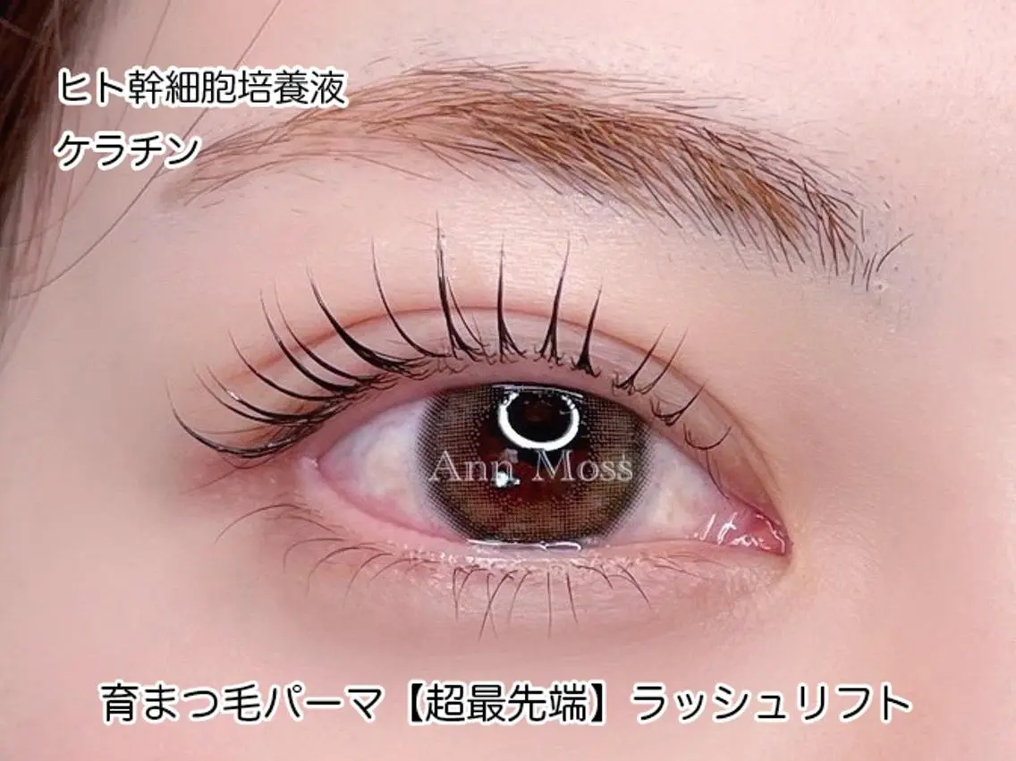 5月20日限定❣️【無料マツパ練習モデル募集】ラッシュリフト⚠️メニュー説明を必ずお読みください⚠️の写真