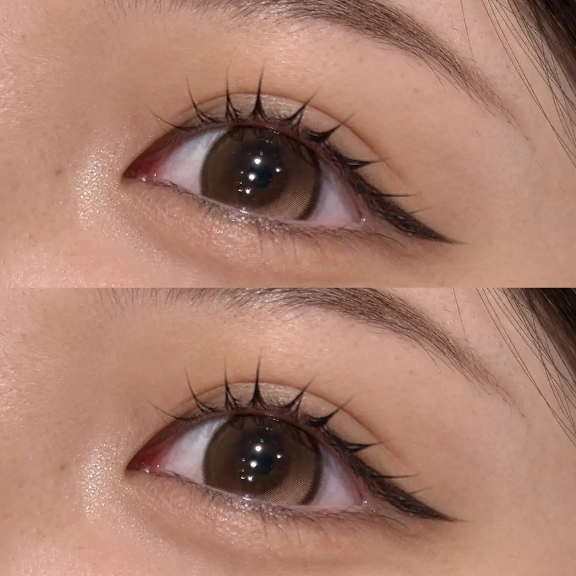 ✶9/29限定✶ PARISIENNE LASH LIFT👀💜の写真