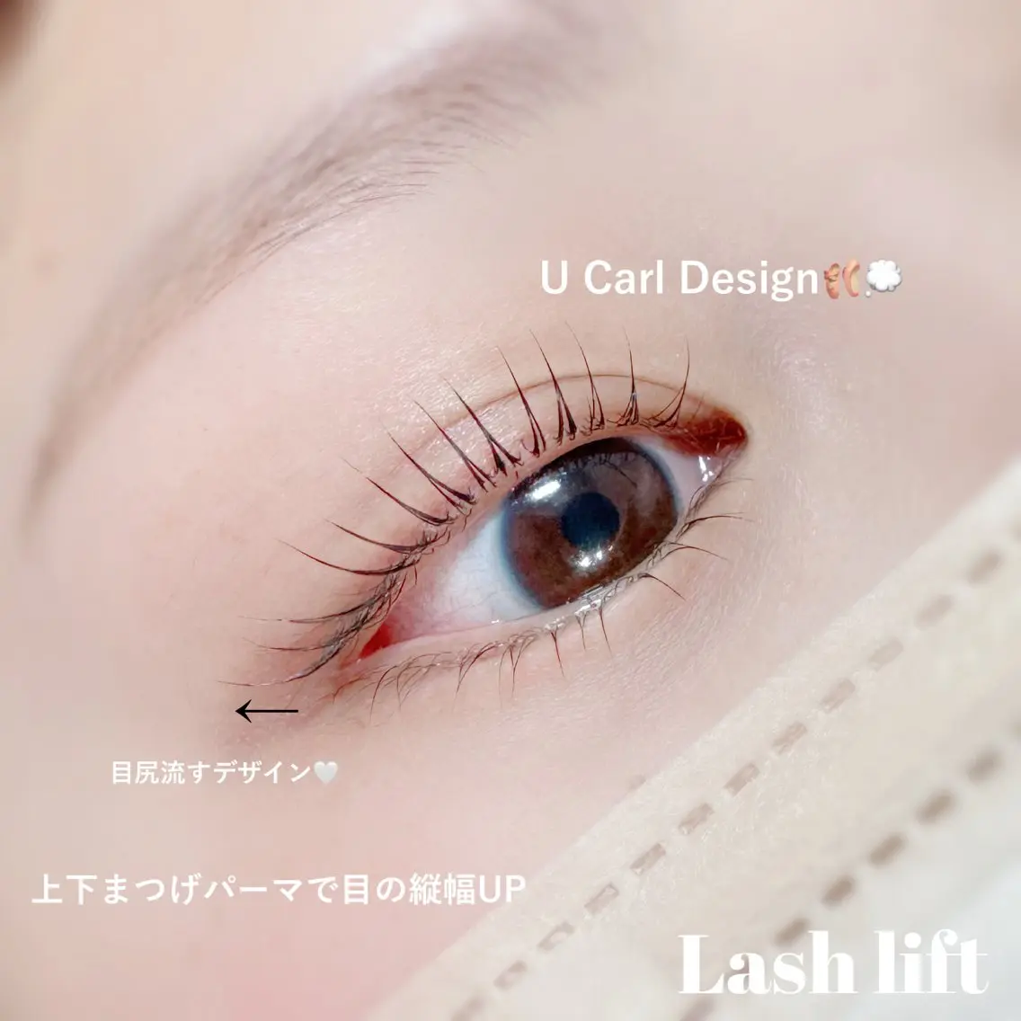 似合わせまつ毛パーマ(上下)🤍アイシャンプー付きの写真