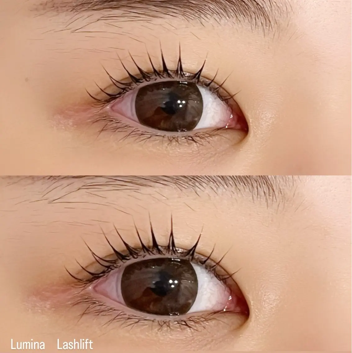 マツエク・マツパ マツパ Lumina Fuyumiのマツエク・マツパデザイン