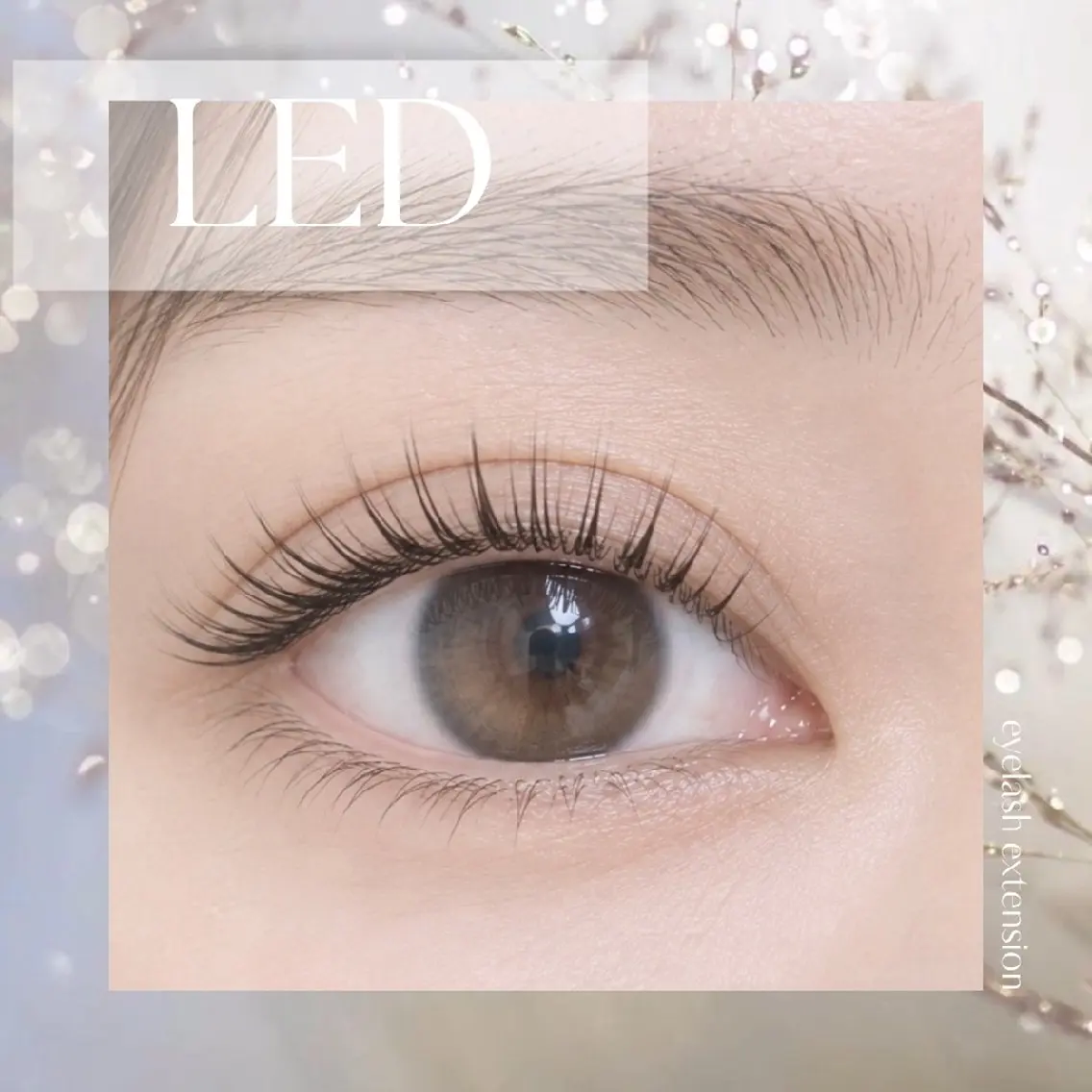 🌷LEDエクステ100本🌷限定5名様の写真