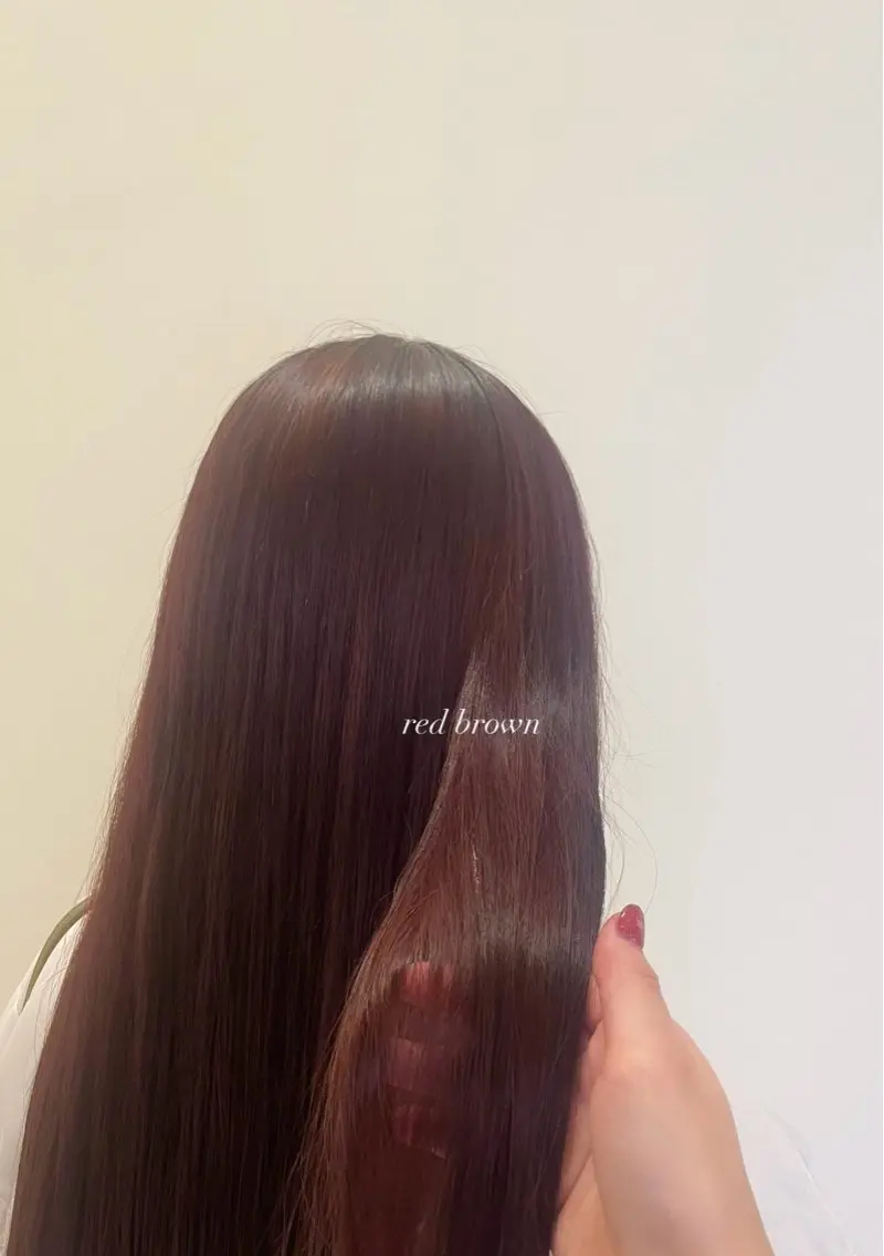 ロング カラー ブラウンカラー レッドカラー レッドブラウン 堀 ゆきみのヘアスタイル