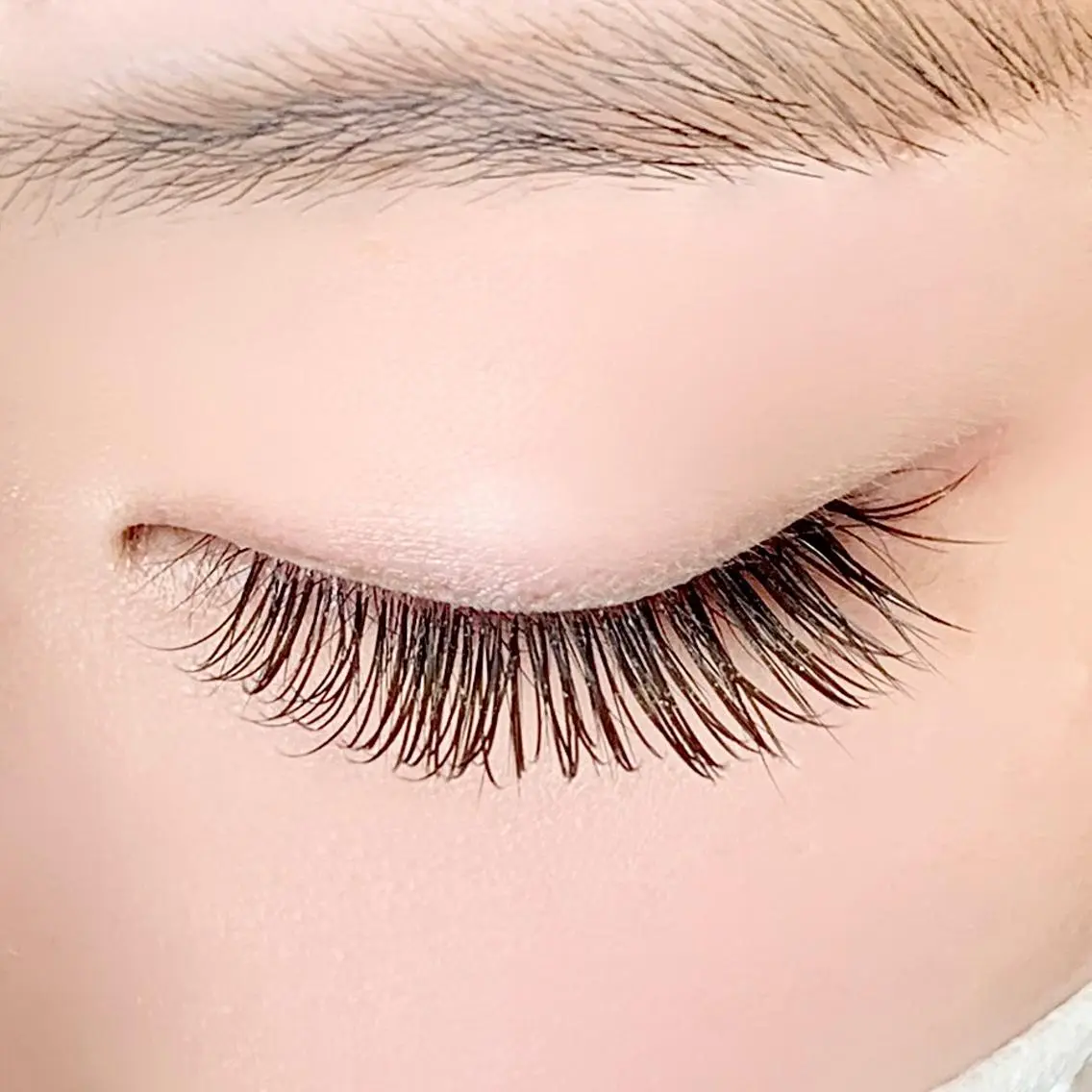 💎【上下セット】上フラット100本or120本+下セーブル40本の写真