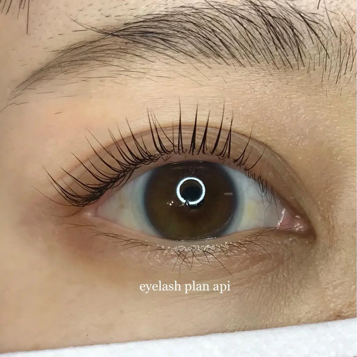マツエク・マツパ 《eyelash ｉｉｔｅ》森のマツエク・マツパデザイン