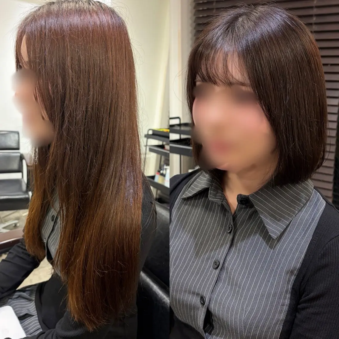 ショート カラー 透明感カラー ボブ カット ヘアカラー トリートメント ボブ/レイヤー/透明 感カラー/Dai🌿のヘアスタイル