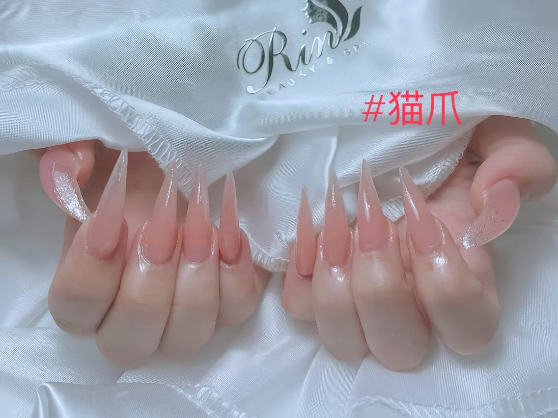 ネイル アニマル柄 ボルドー ブラウン チークネイル フレンチネイル ハンドネイル Rin Nail 新大久保店のネイルデザイン