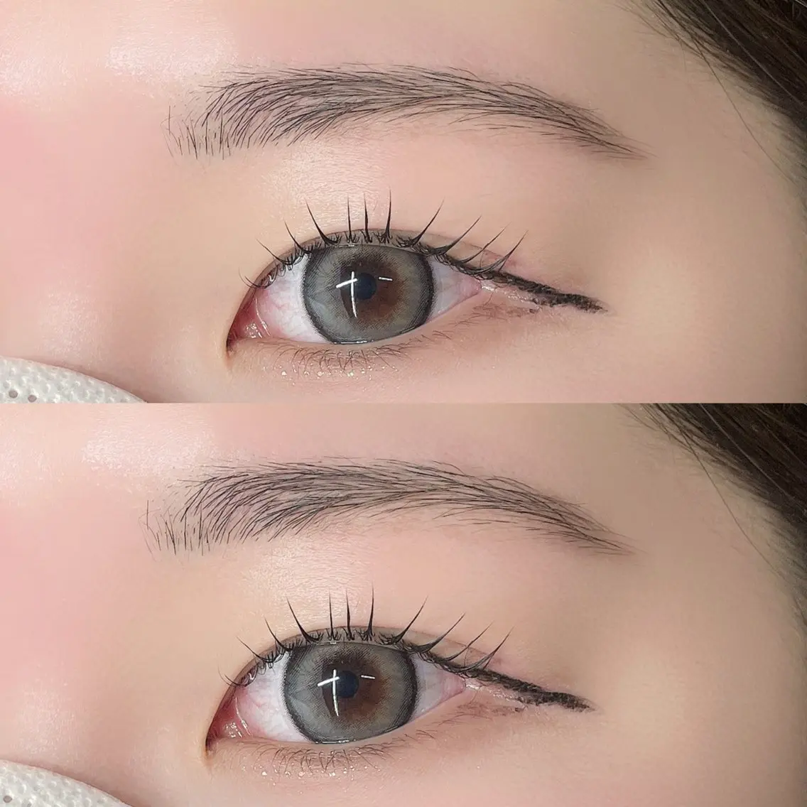 3回目まで🪄 パリジェンヌラッシュリフト+アイブロウwaxの写真