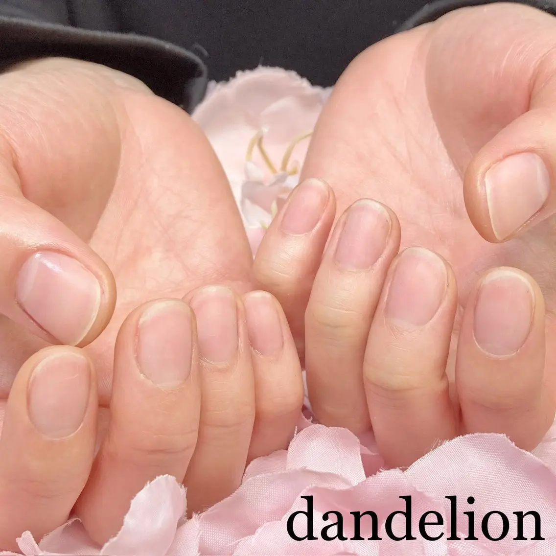 ネイル ハンドケア dandelion ダンデライオンのネイルデザイン