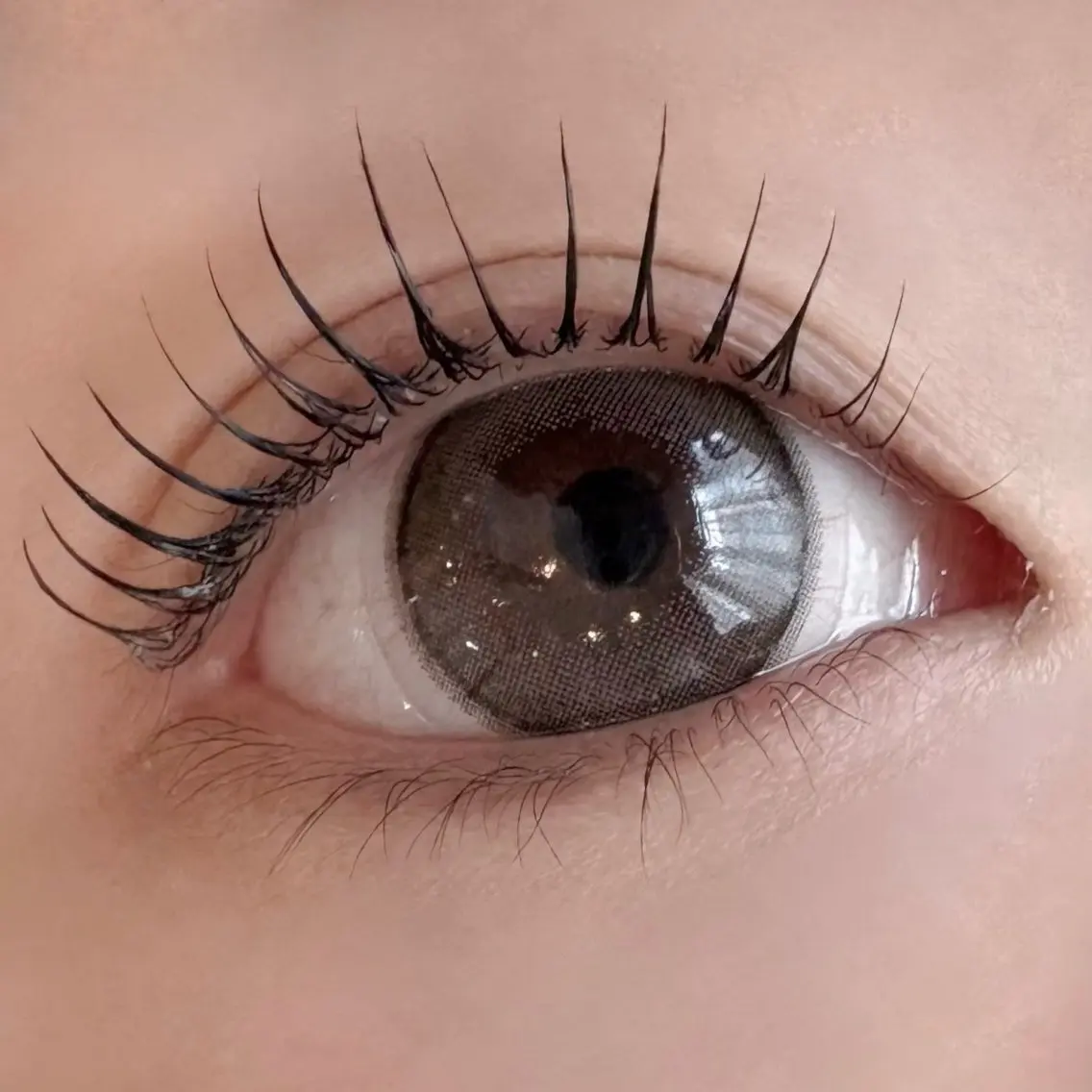 マツエク・マツパ Daisy Lash 今吉🍒🖤のマツエク・マツパデザイン