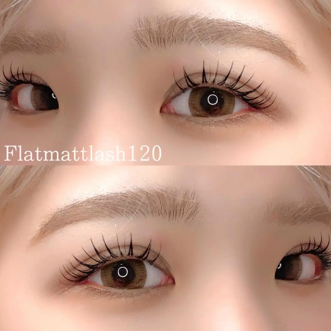 マツエク・マツパ フラットラッシュ マツエク eyelash "Koa"🕊🤎のマツエク・マツパデザイン