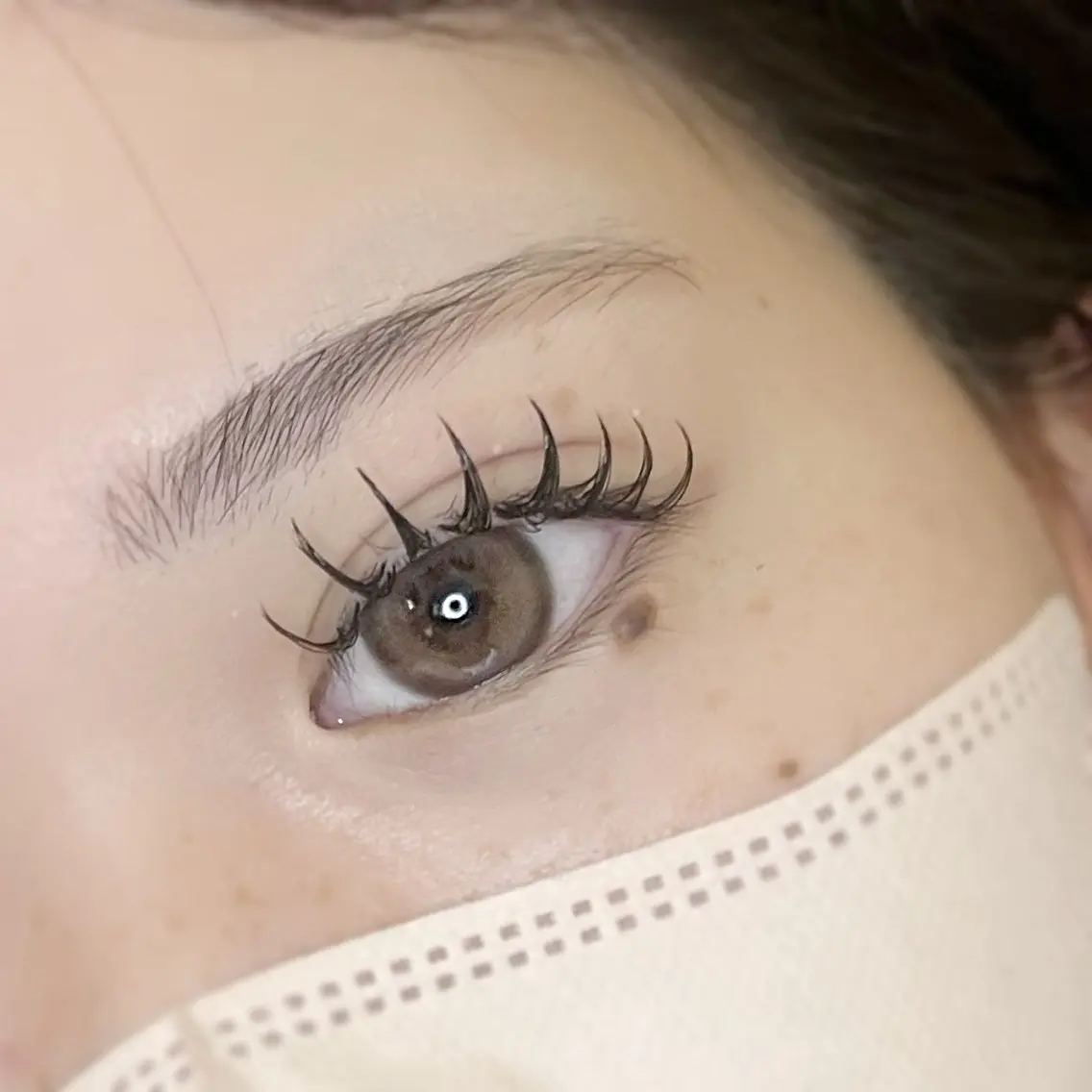 ダブルフラット80束🪼オフ込みの写真
