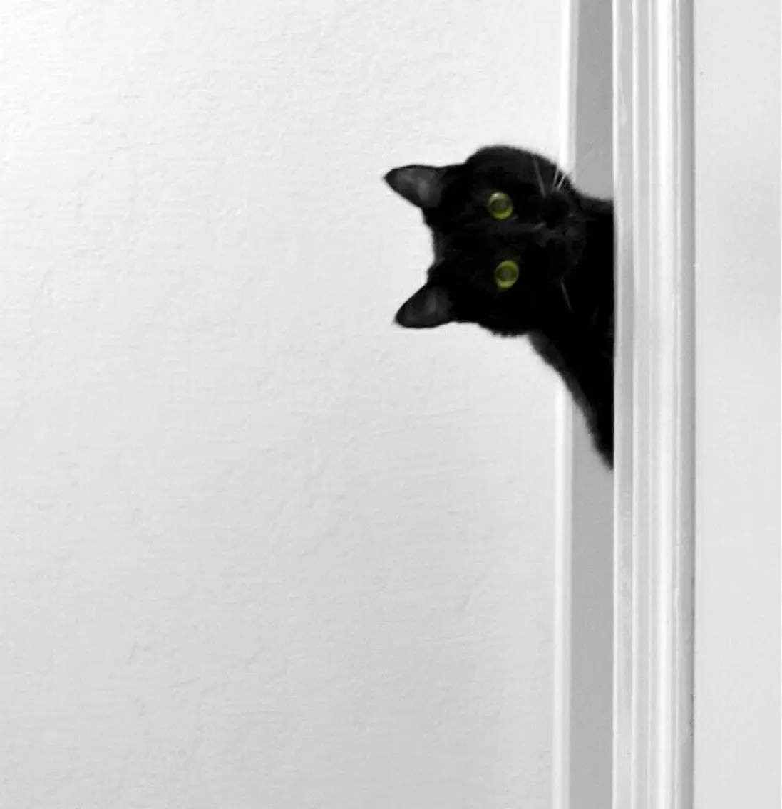 ᴍɪɴᴀ. 🐈⬛のマツエク・マツパデザイン