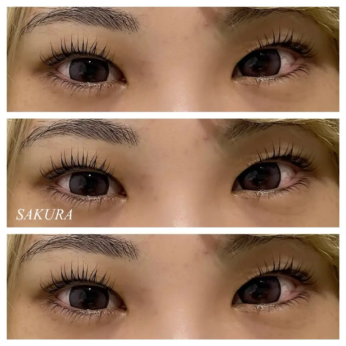 マツエク・マツパ パリジェンヌラッシュリフト EYE405 SAKURAのマツエク・マツパデザイン