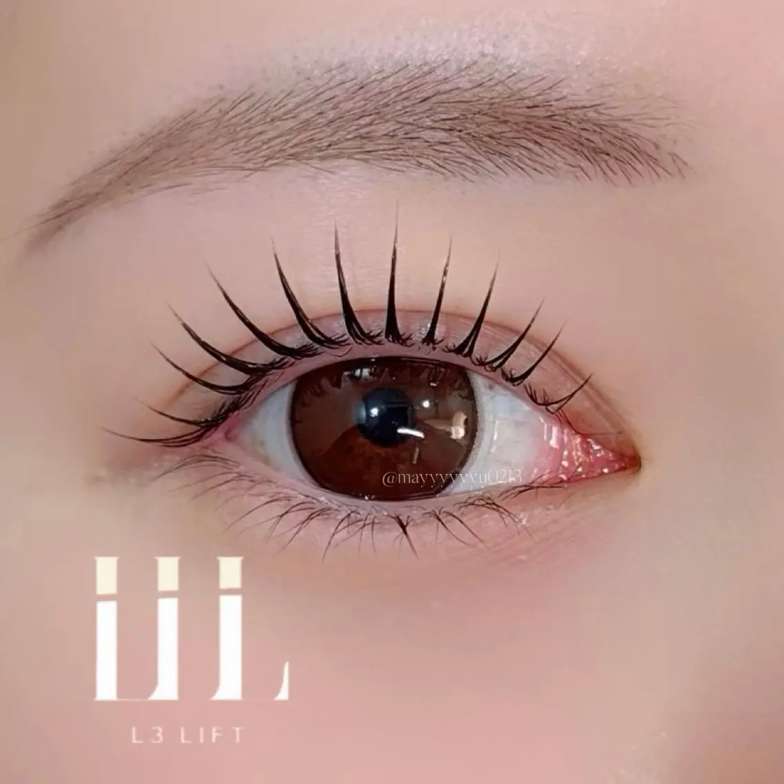 \\ L3 treatment × まつげパーマ // Special ✨3step treatment 🐰の写真