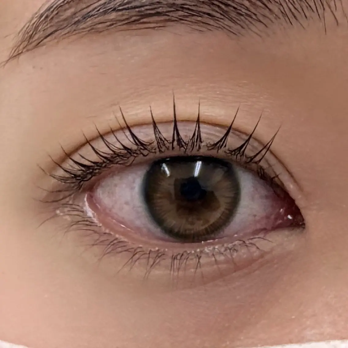Lash lift 上下🫧の写真