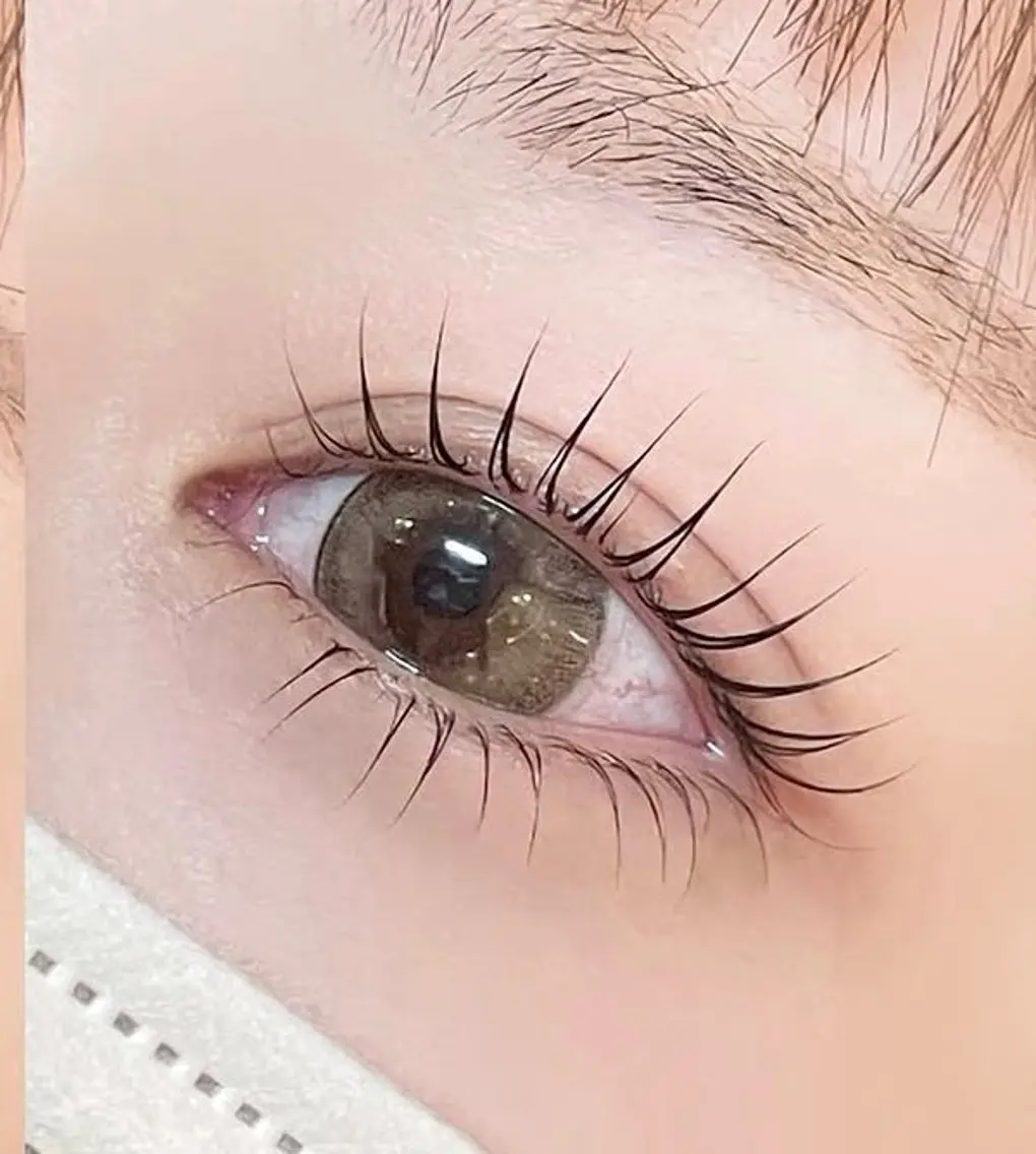 🎀上下まつげパーマ🎀の写真