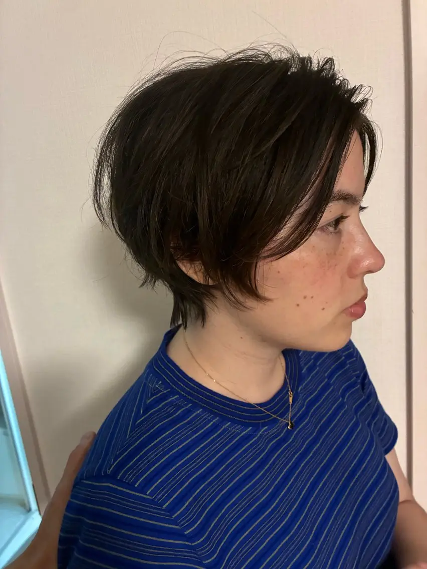 ショート レイヤーカット ショートヘア 齊下 幹のヘアスタイル