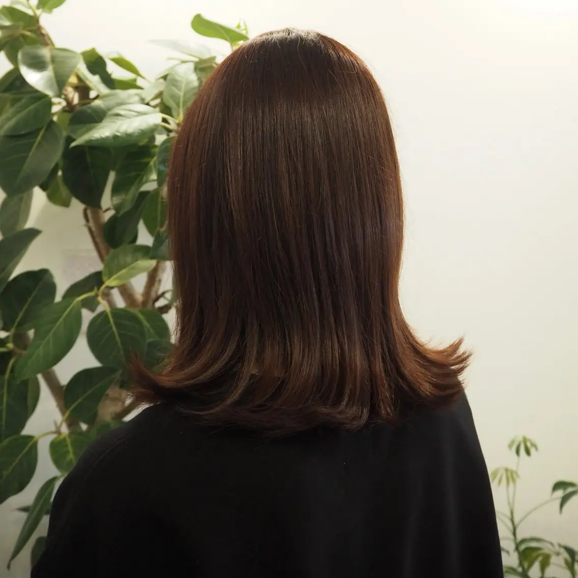 カラー ブラウンカラー ヘアカラー トリートメント FILMS / nagiのヘアスタイル