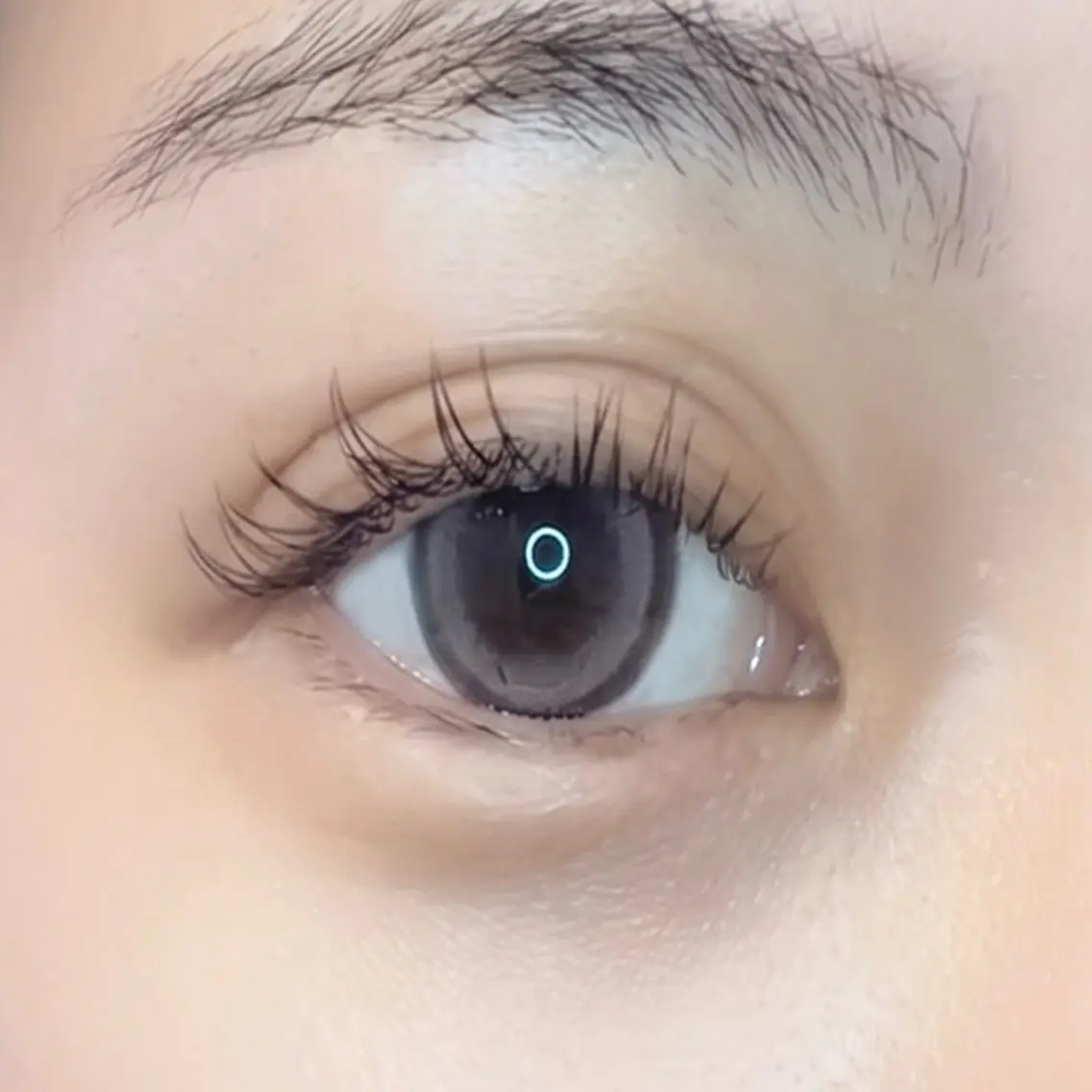 LEDエクステ100本|自然さを残しながら、ほどよく目元の存在感もほしい方におすすめ🫧の写真