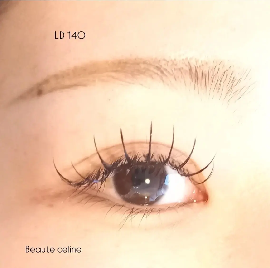 マツエク・マツパ マツエク LED✨beaute Celine🌛🌹のマツエク・マツパデザイン