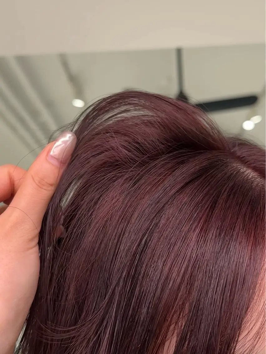 カラー ブリーチ ボルドーカラー ハイトーンカラー ブリーチなしカラー ボブ REINA☁️透明感 カラー/ぷつっと♡のヘアスタイル