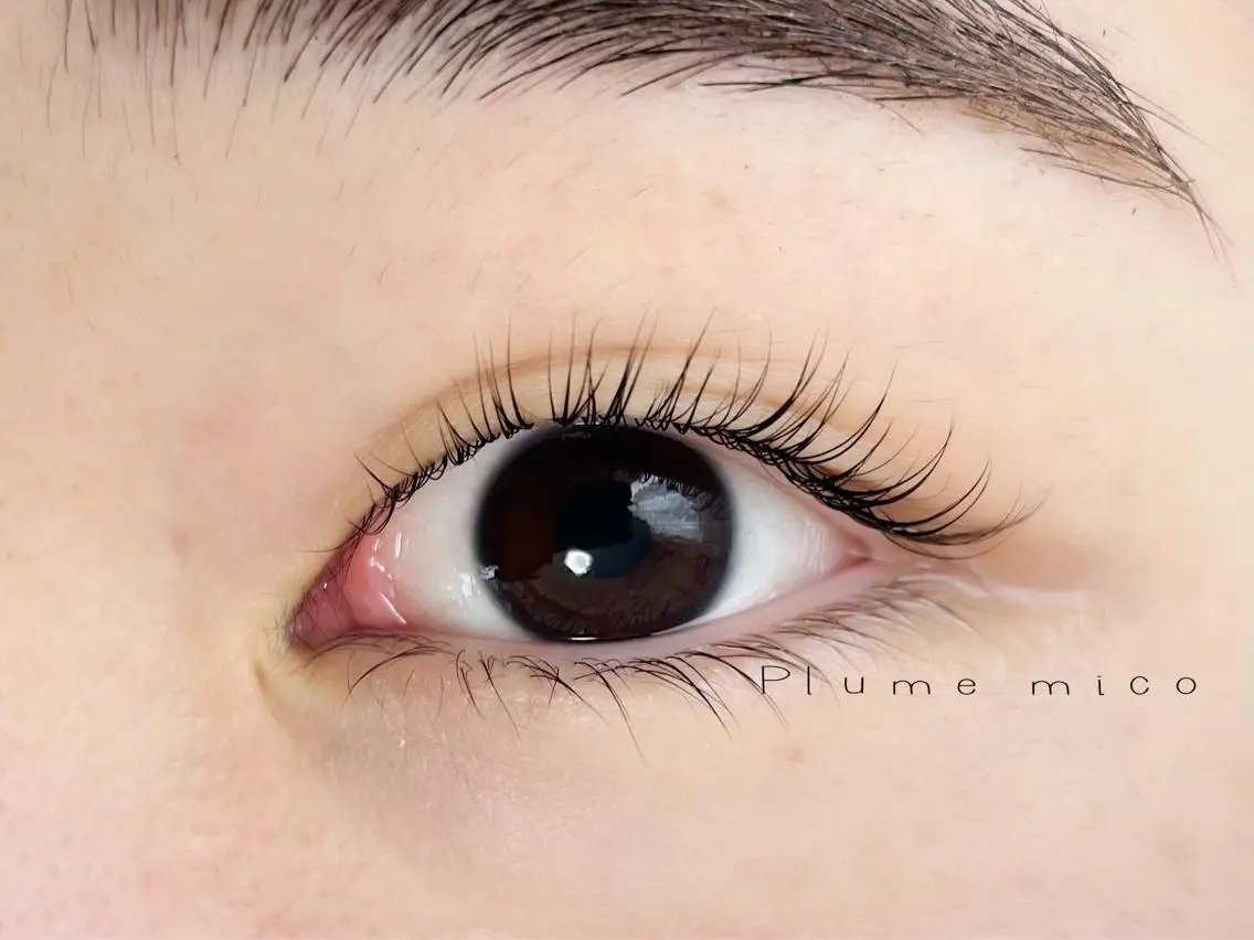 マツエク・マツパ マツパ Plume micoのマツエク・マツパデザイン