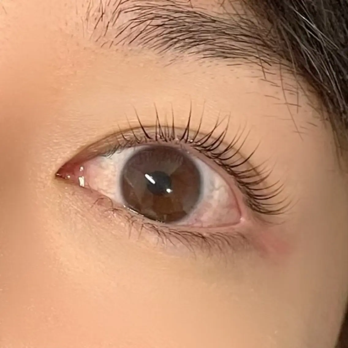 マツエク・マツパ ケラチンラッシュリフト EYEMAJIC Pure★高見の眉毛・アイブロウイメージ