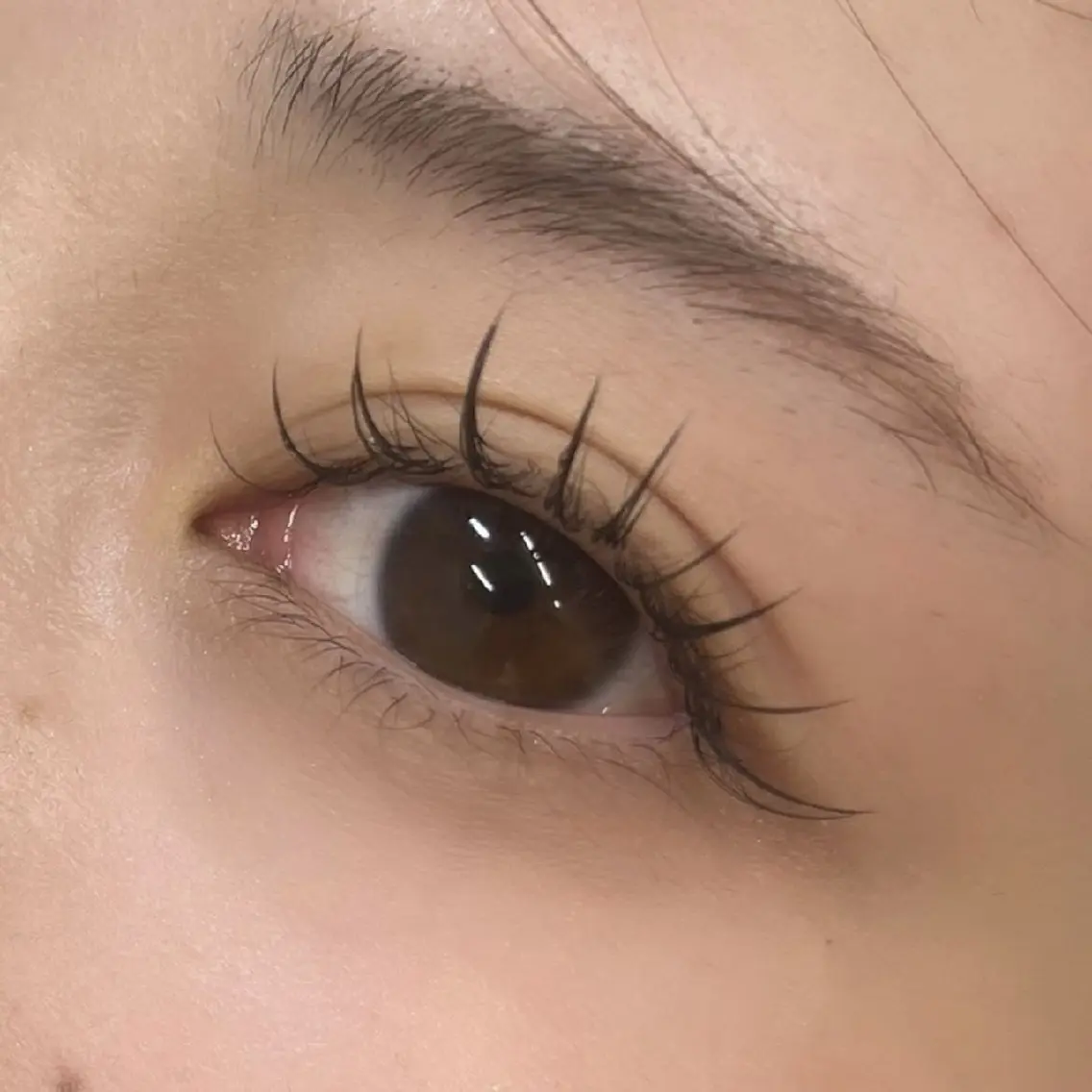 【オフ無料,Lカールあり】フラットラッシュ120本の写真