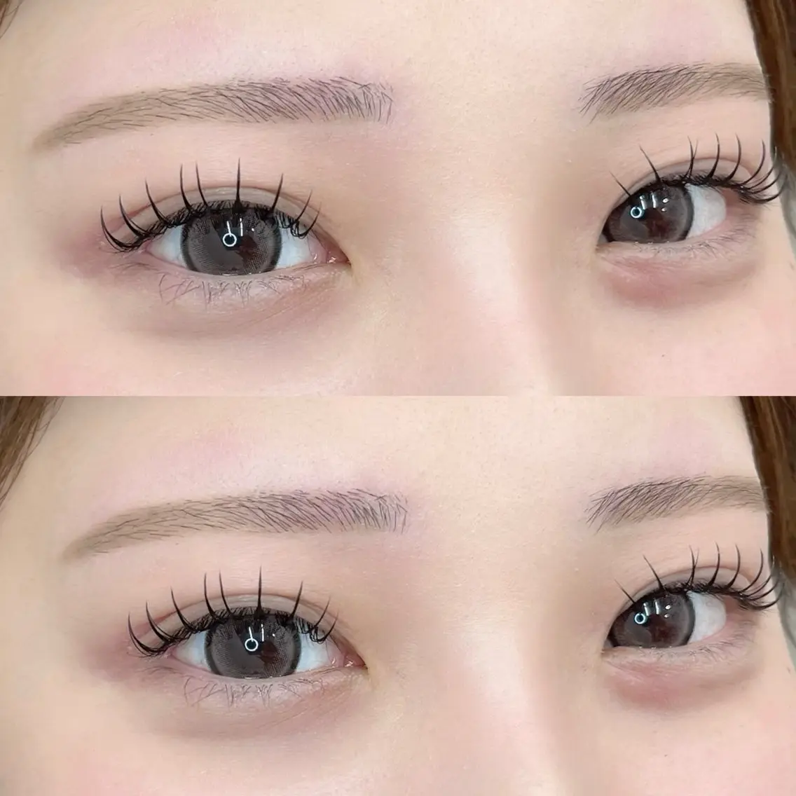 まつエク120本➕美眉アイブロウWax🪿💞の写真