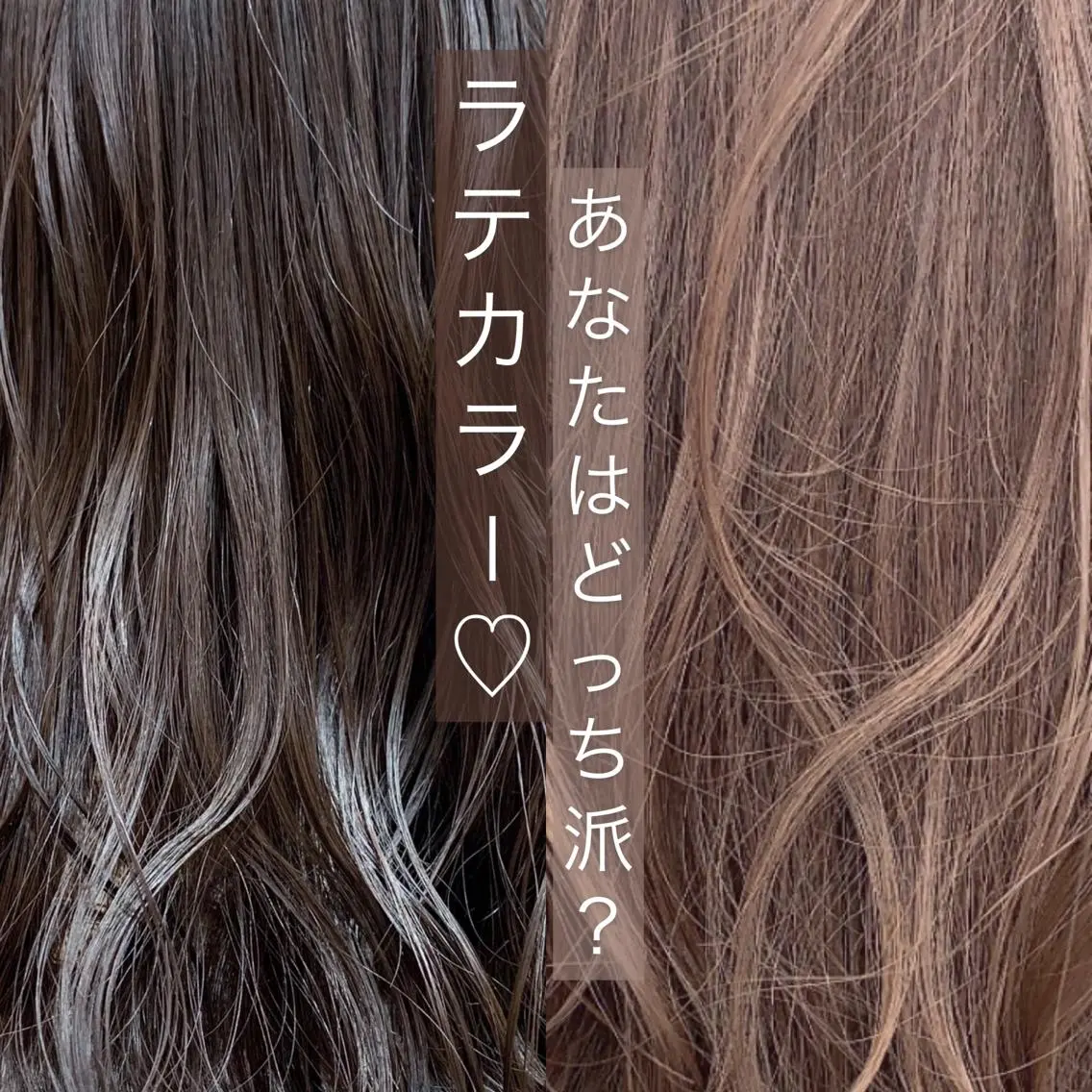 カラー ヘアアレンジ 🫧🎀tasty yama🫧🪽のヘアスタイル