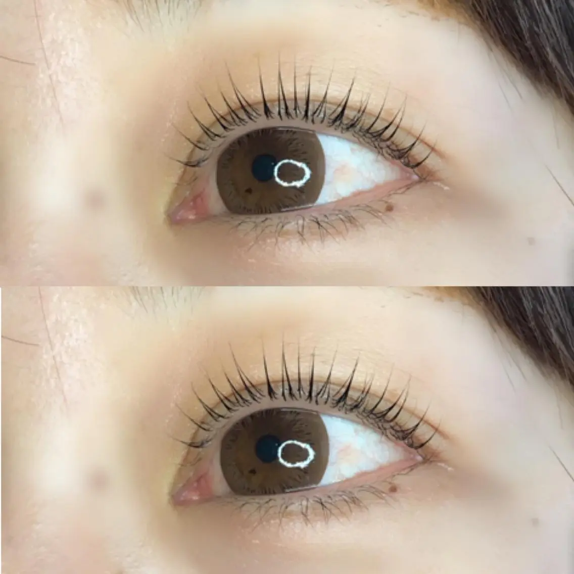 マツエク・マツパ 《eyelash ｉｉｔｅ》森のマツエク・マツパデザイン