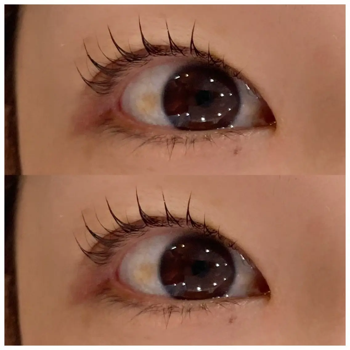 マツエク・マツパ パリジェンヌラッシュリフト 🥞ツノダ eyelash🧸のマツエク・マツパデザイン