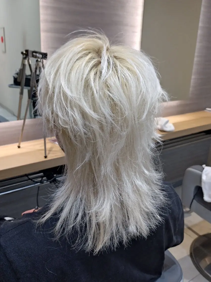 ミディアム ヘアアレンジ メンズ メンズウルフカット ウルフカット 🐺デザインウルフ / 一ノ瀬 凌🐺のヘアスタイル
