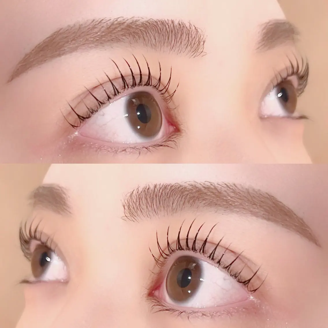 🌸アイブロウWAX+パリジェンヌ🌸アイブロウメイク仕上げ+まつ毛コーティング付き🫧の写真