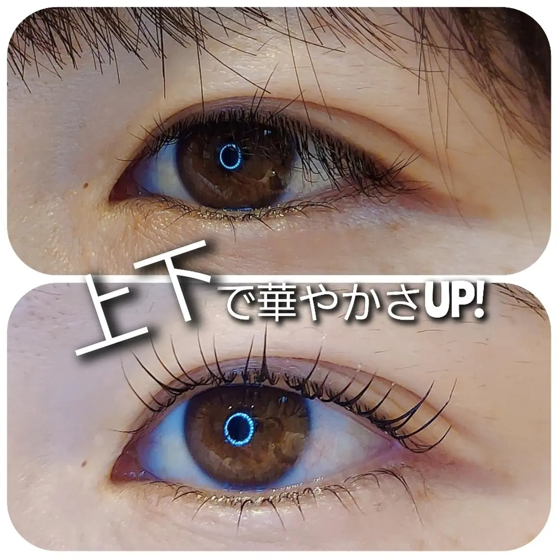マツエク・マツパ マツパ eyelash  Recona のマツエク・マツパデザイン